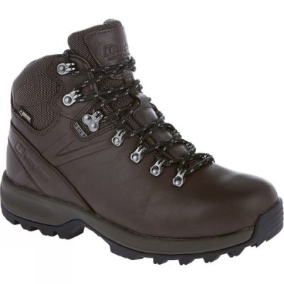 Botas Berghaus Explorer Ridge Plus GTX Mujer - Marrones / Gris Oscuro - Chile HRQ650782